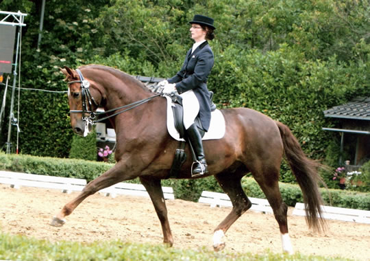 Don Diabolo unter Claudia Kleinmanns