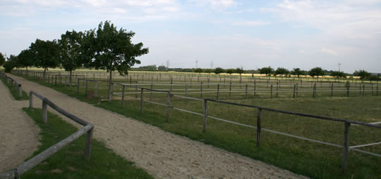 Weiden und Gallopierbahn